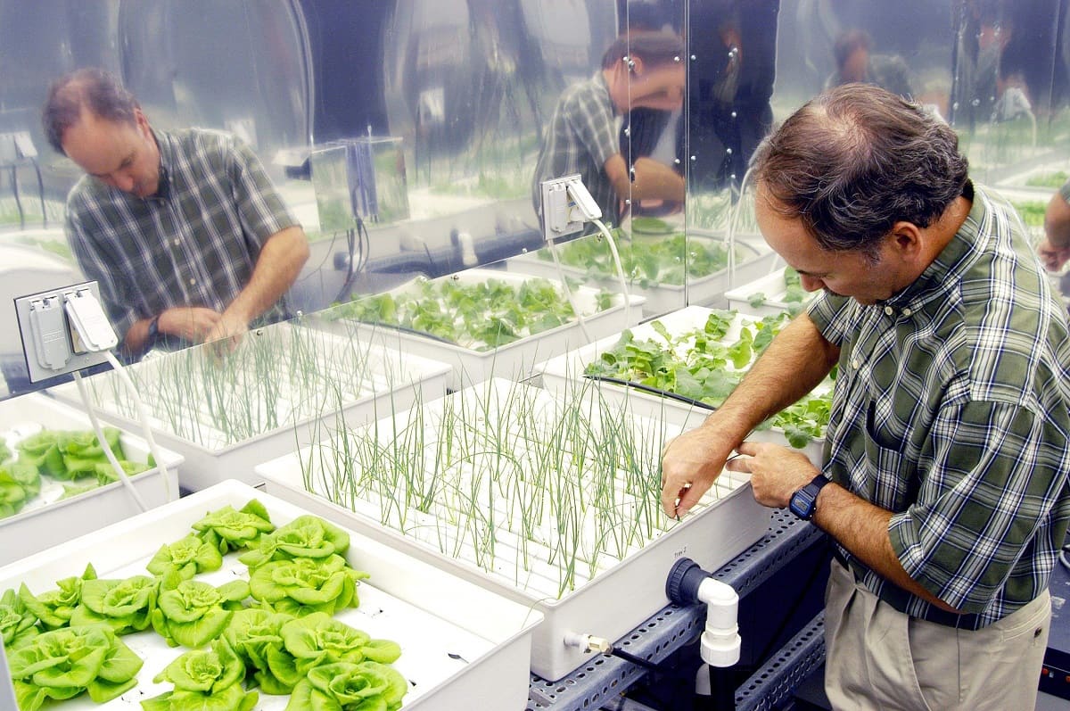 Innovaciones tecnológicas en la producción de alimentos orgánicos